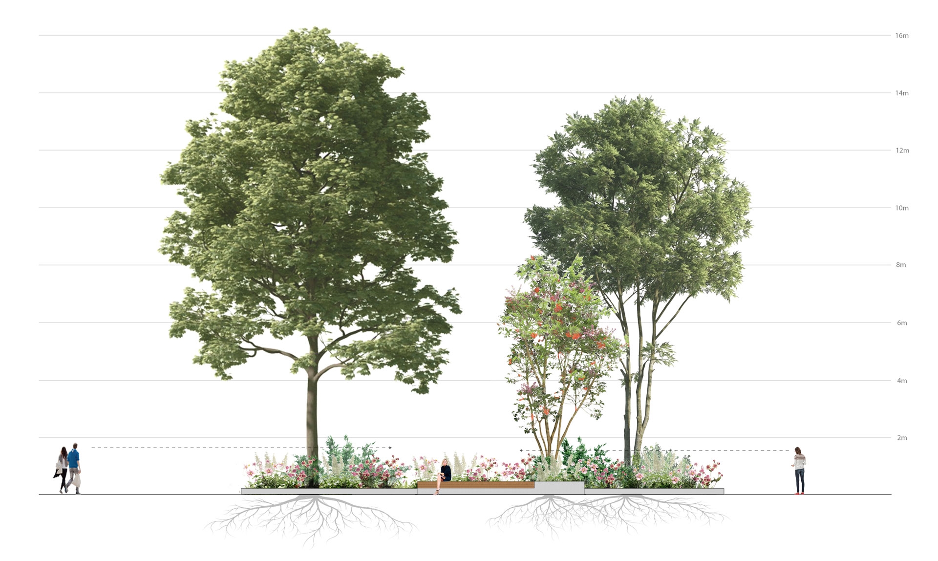 Beplanting Stadhuisplein Beplanting Stadhuisplein